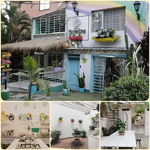 Florentina Symbiosis Medellín